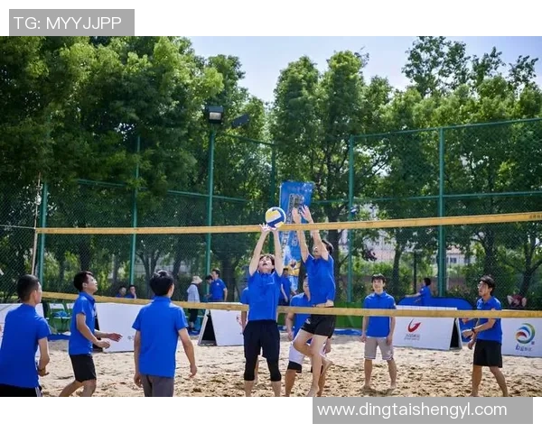 上海排球队的训练与比赛状态全景揭秘，展现排球巨献的魅力与挑战