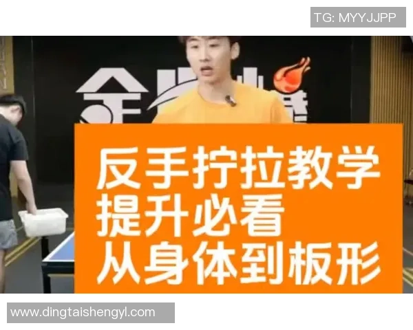 乒乓球新手必看技巧与训练方法全攻略助你快速提升力量与技术水平