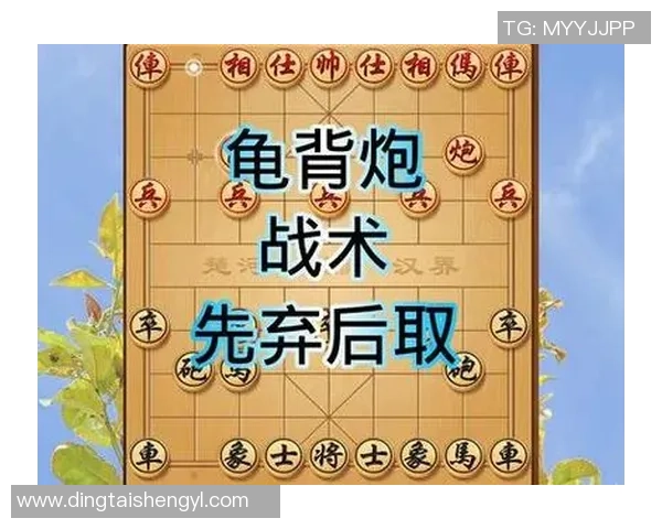 广州排球队的节奏打法深度解析与战术优势探讨