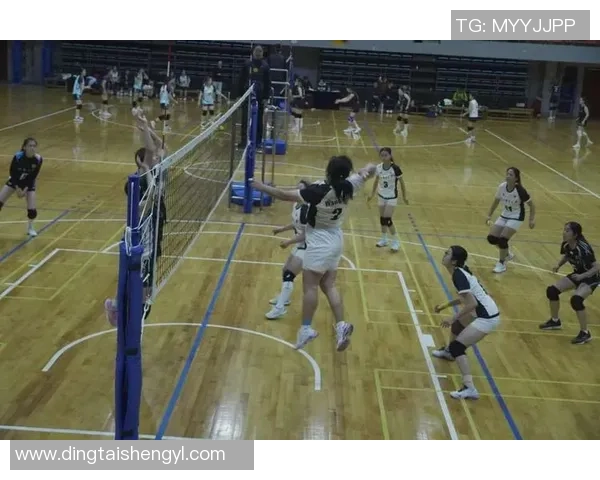 成都排球队战术创新引领排球新潮流成就辉煌战绩