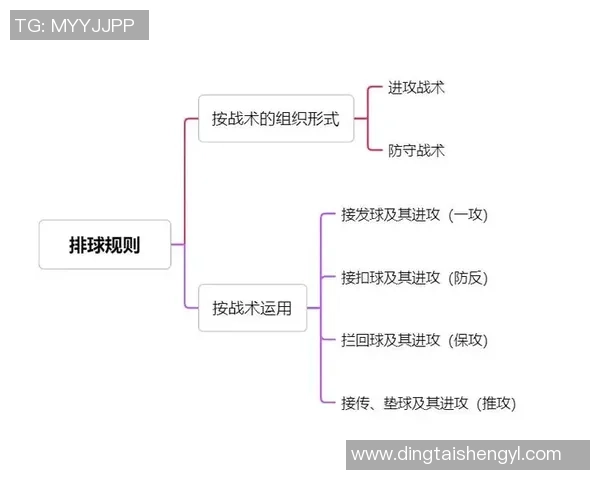 深圳排球队区域防守策略解析与深度剖析排球战术的成功之道 深圳排球队区域防守策略解析与深度剖析排球战术的成功之道